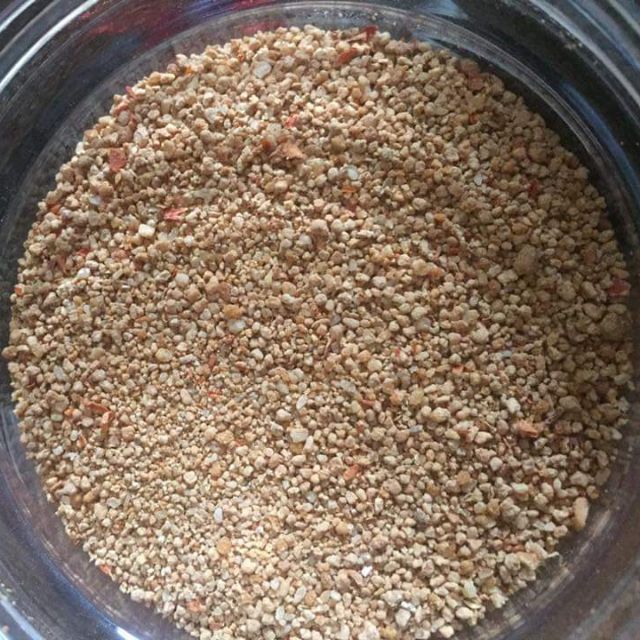 Muối tôm Cay vừa