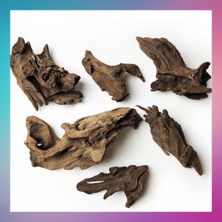 Cành gỗ lũa khô trang trí bể cá thủy sinh, bonsai, tiểu cảnh, ghép lan - [ Xưởng Thủy Sinh TS Online37 ]