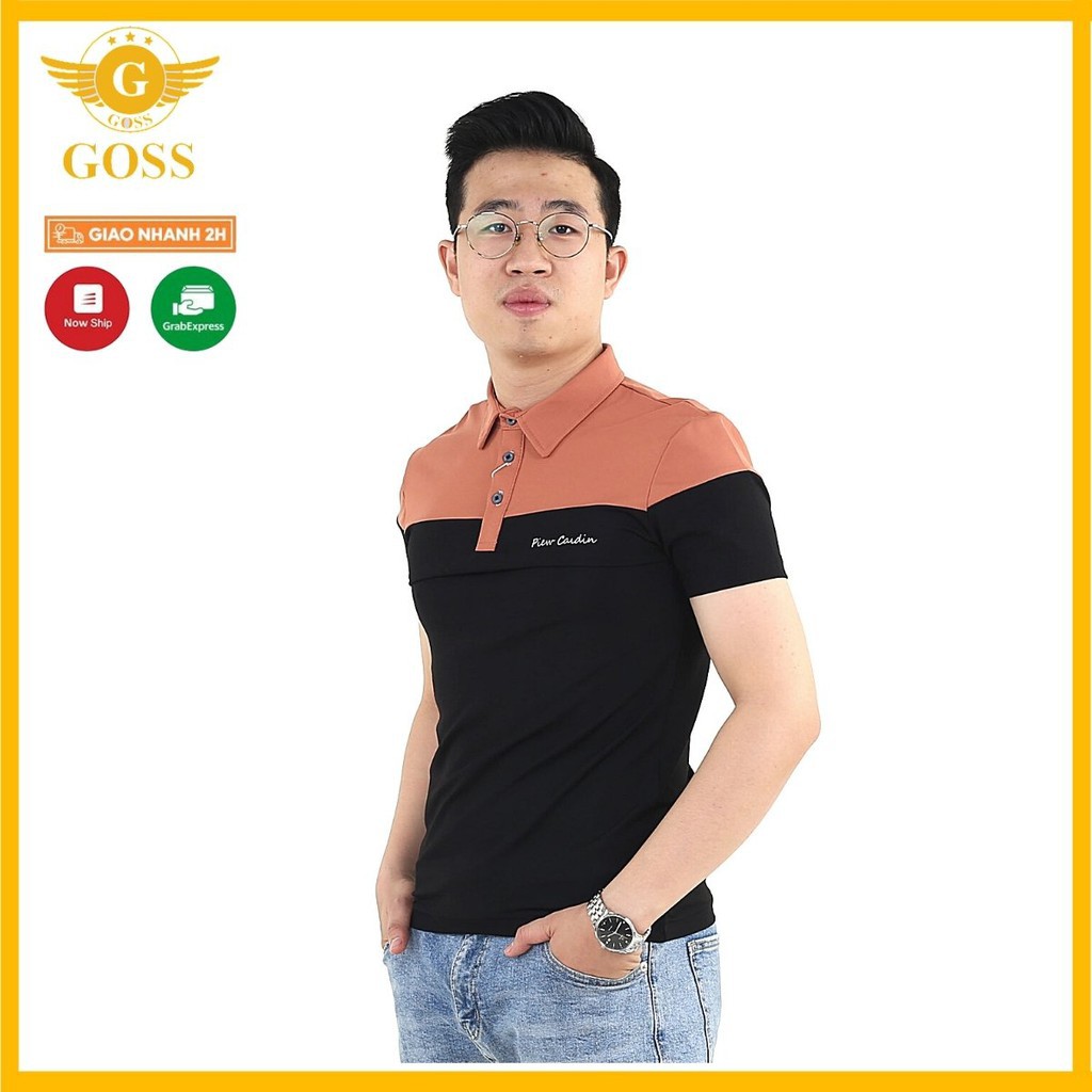 ⭐️HÀNG HIỆU⭐️Áo thun nam có cổ 2 màu - Áo phông polo nam cổ bẻ ngắn tay vải 100%cotton cao cấp chất mát GOSS ❕ '