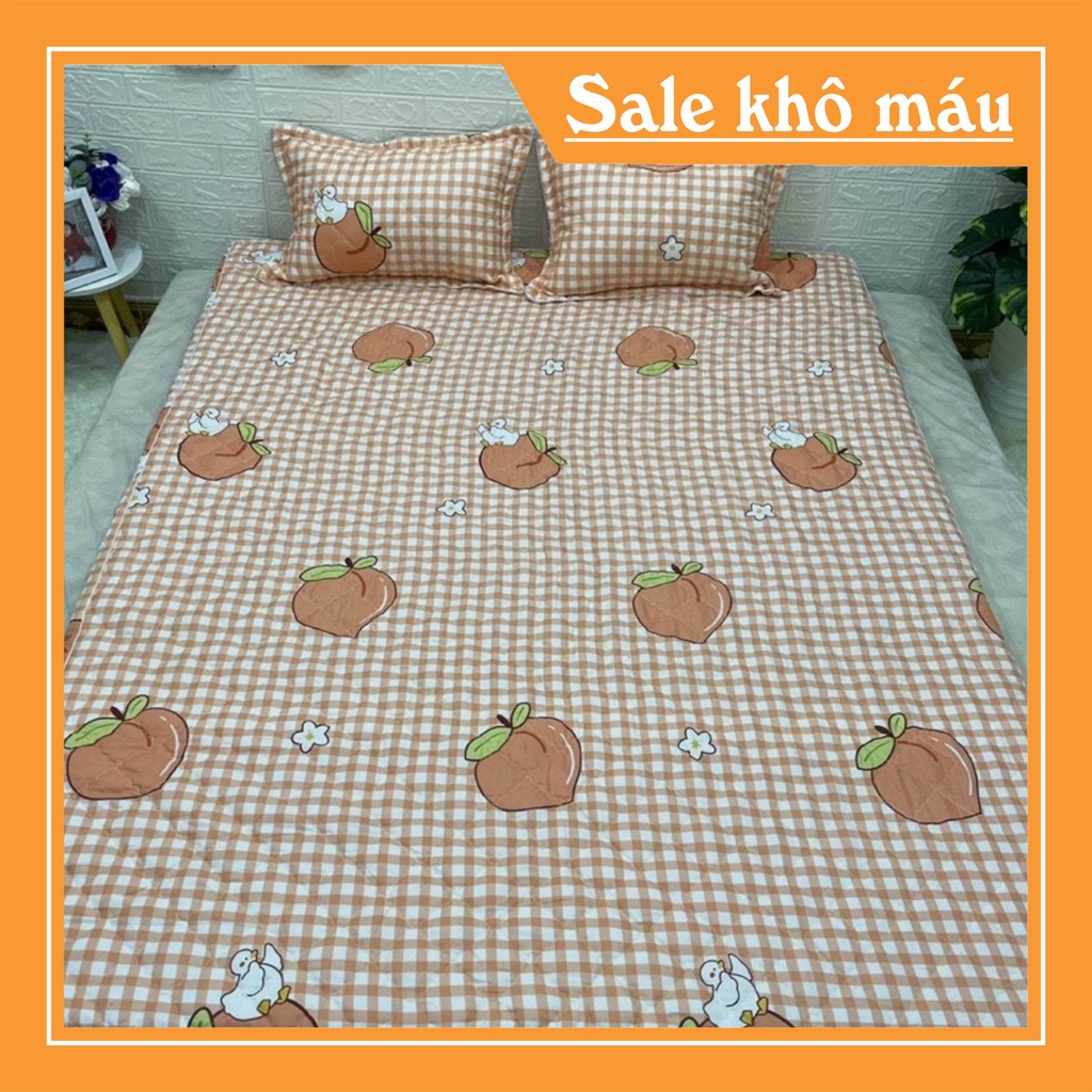 Ga Chun Trần Bông trải giường chất liệu cotton poly giá rẻ nhiều màu sắc lựa chọn | BigBuy360 - bigbuy360.vn