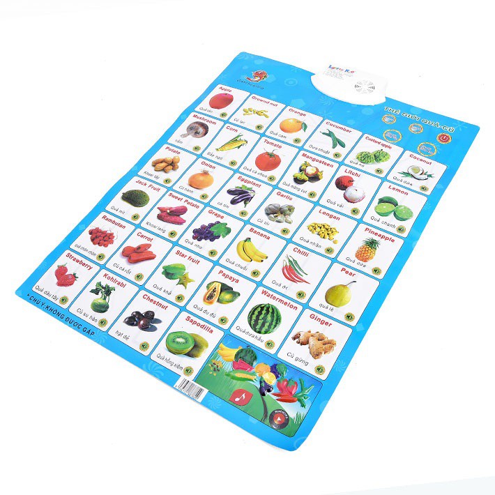 Bảng điện tử thông minh TG củ quả Antona C1000