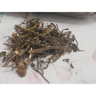 Cây vòi voi khô (1kg)