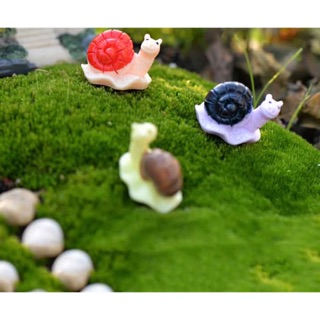 Ốc sên trang trí tiểu cảnh, sen đá