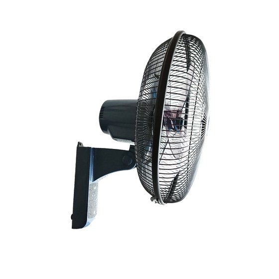 Quạt treo tường Lioa có điều khiển từ xa | BigBuy360 - bigbuy360.vn