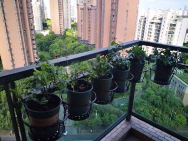 [Vườn tược trên không] Giỏ Sắt Treo Chậu Cây, Kệ Để Chậu Hoa Cây Cảnh Có Móc Treo Ngoài Ban Công Tiện Lợi