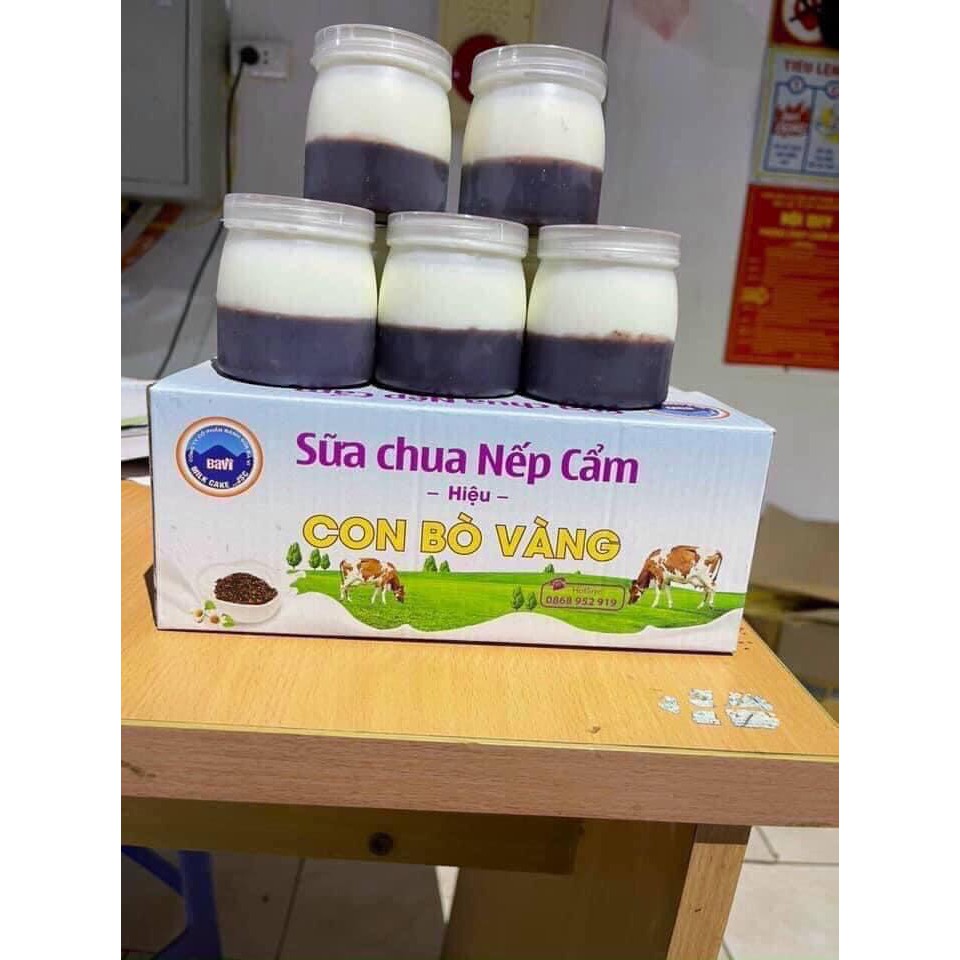 Sữa chua nếp cẩm, sữa chua mix vị Ba Vì - Hiệu Con Bò Vàng hàng chuẩn công ty. Siêu ngon, mềm mịn. Giá cực tốt đây ạ!!!!