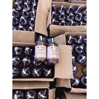 FREESHIP ĐƠN 99K_CẶP Dầu Gội + DẦU XẢ ColAgen Mefaso e850ml . .