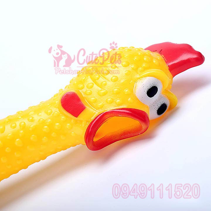 🐔 Đồ chơi gà la hét dành cho thú cưng - Đồ thú cưng - CutePets Phụ kiện chó mèo Pet Shop