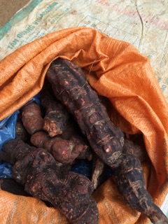 Hà Thủ Ô đỏ 1kg