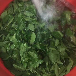 Combo 100 gói bột trà xanh loại 50gr
