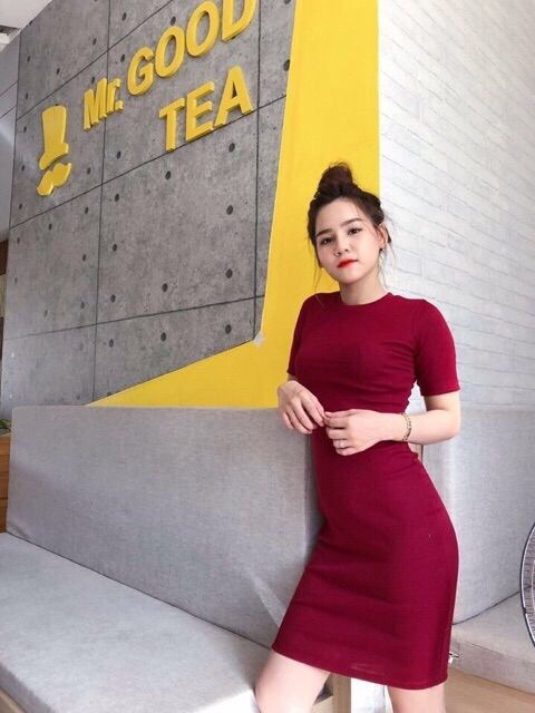 ĐẦM BODY TAY NGẮN THUN GÂN | BigBuy360 - bigbuy360.vn