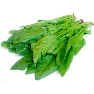 5gr - HẠT GIỐNG CẢI BÓ XÔI
