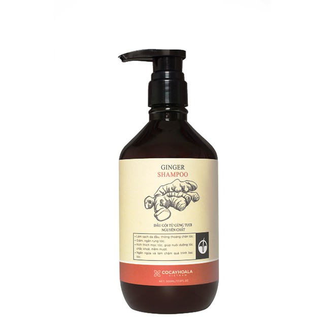 DẦU GỘI GỪNG- GINGER SHAMPOO