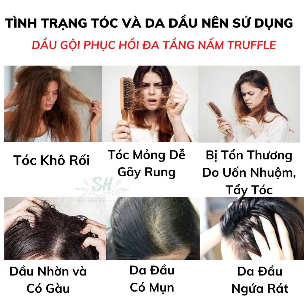 Dầu Gội Phục Hồi Weilaiya DPH103 Giúp Phục Hồi Tóc Khô Xơ Chẻ Ngọn, Ngăn Giảm Rụng Tóc Thành Phần Nấm Truffle Quý Giá