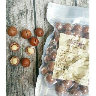 Hạt macca đak lak - 500gr