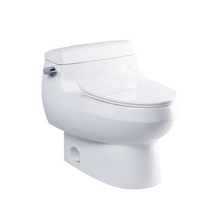 Bồn cầu 2 khối Toto CS769DT8
