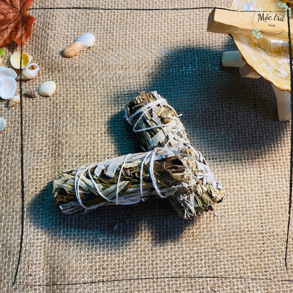 SAGE May Mắn, Bó Xô mix YEBRA SANTA, Xô Thơm Xanh, Xô Thơm Trắng loại 10cm
