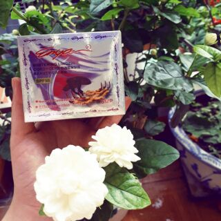 Kem enya linh chi đông trùng hạ thảo
