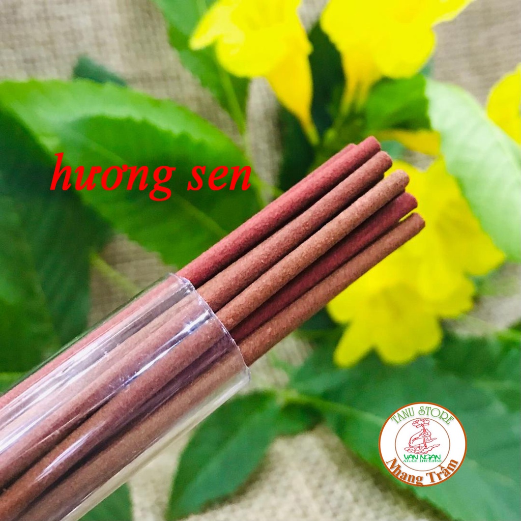 NHANG CÂY 20CM MIX HƯƠNG HOA &amp; THẢO MỘC- KHÔNG HÓA CHẤT, HƯƠNG THƠM TỰ NHIÊN, DỊU NHẸ, RẤT THƯ GIÃN- TANU STORE