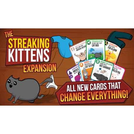 STREAKING KITTENS