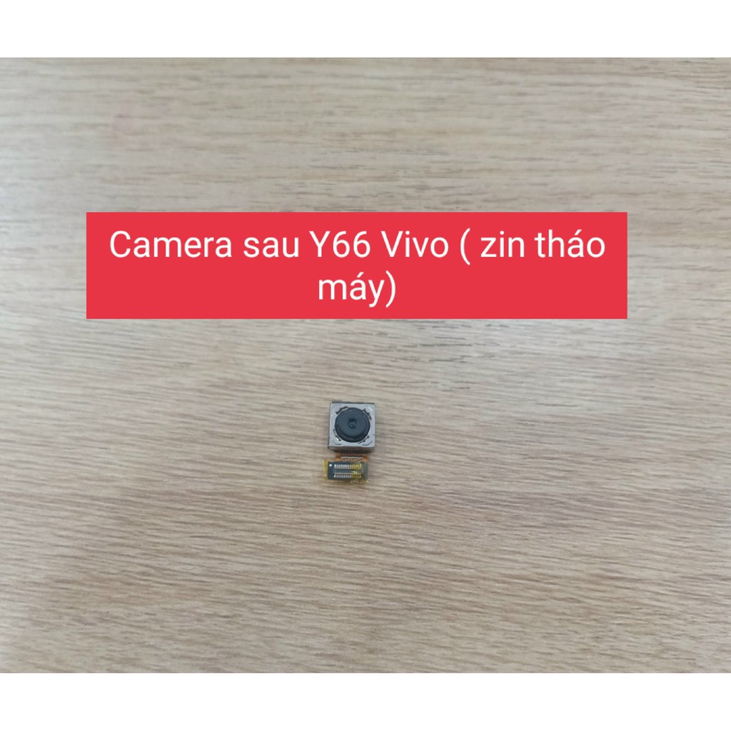 Camera sau Y66 Vivo ( Zin tháo máy)