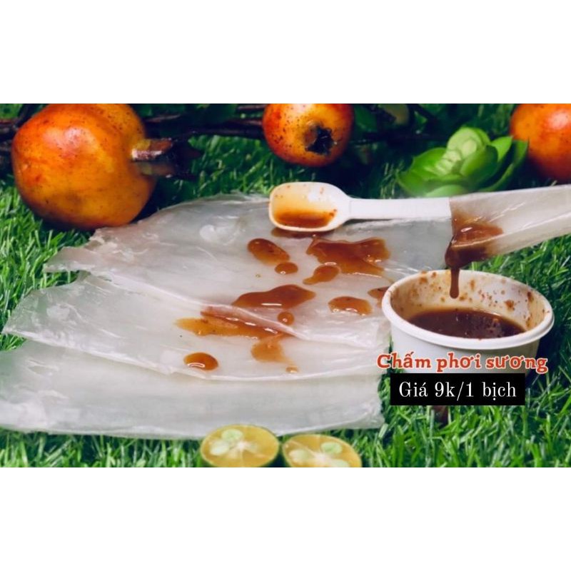 [PRE-ORDER] Bánh Tráng Chấm Sốt Chua Cay Phơi Sương