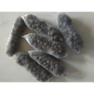 túi lưới phân dê 10cm