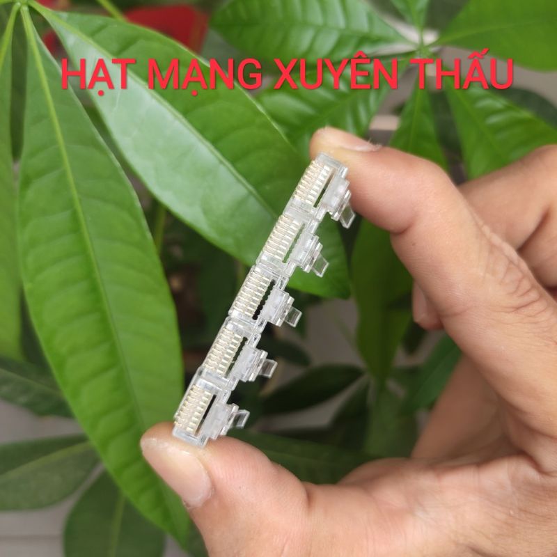 Đầu mạng xuyên thấu rj45 CAT5E, CAT6 chân tiếp xúc tốt (Bao 100 con)