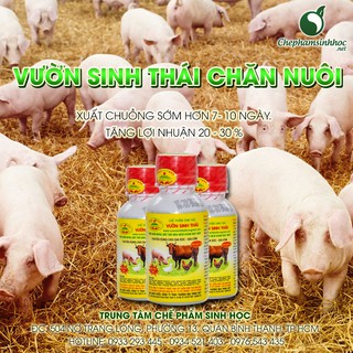 VƯỜN SINH THÁI - LOẠI CHO CHĂN NUÔI (GÀ, VỊT, HEO, BÒ, DÊ...)