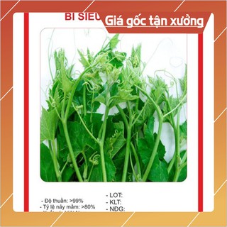 Hạt giống Bí Siêu Ngọn 10gram Hạt giống