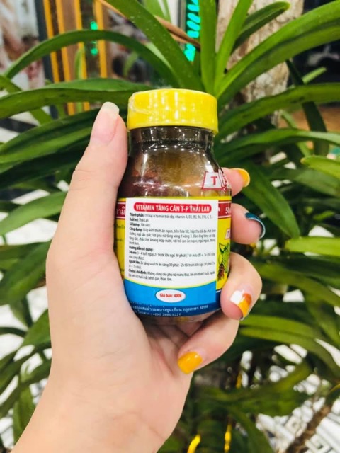 Vitamin tăng cân TP Thadi Lan | BigBuy360 - bigbuy360.vn