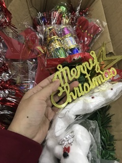Cây thông noel