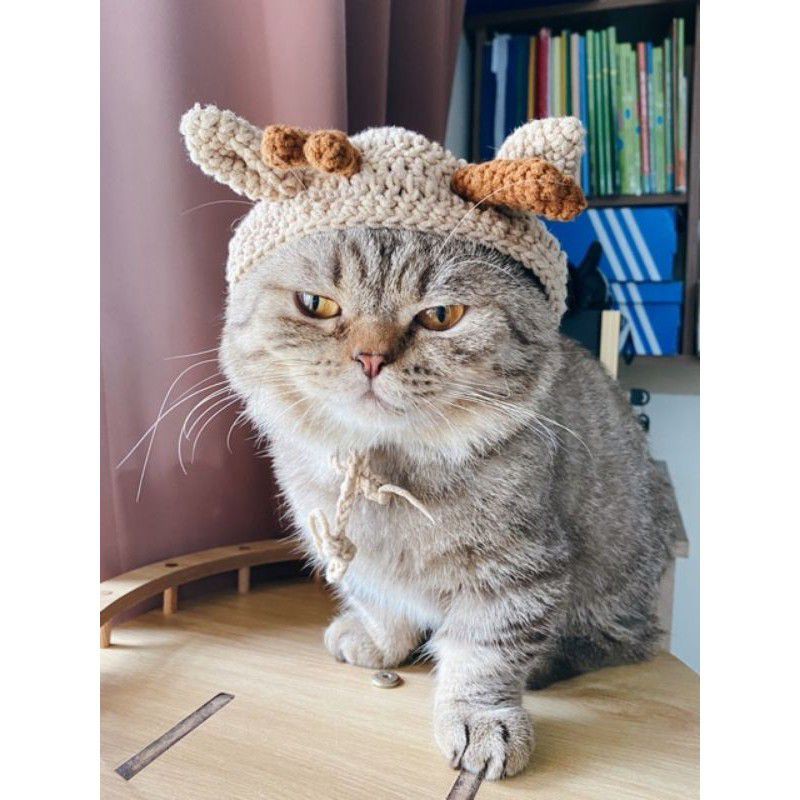 Mũ Len cho chó mèo
