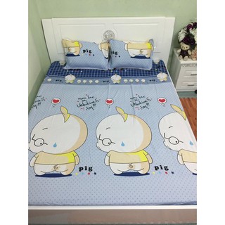 BỘ DRAP COTTON POLY CON HEO