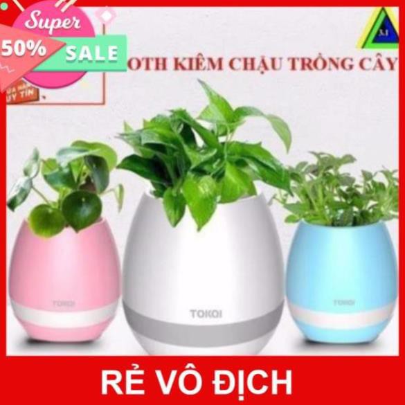 LOA BLUETOOTH KIÊM CHẬU TRỒNG CÂY K3