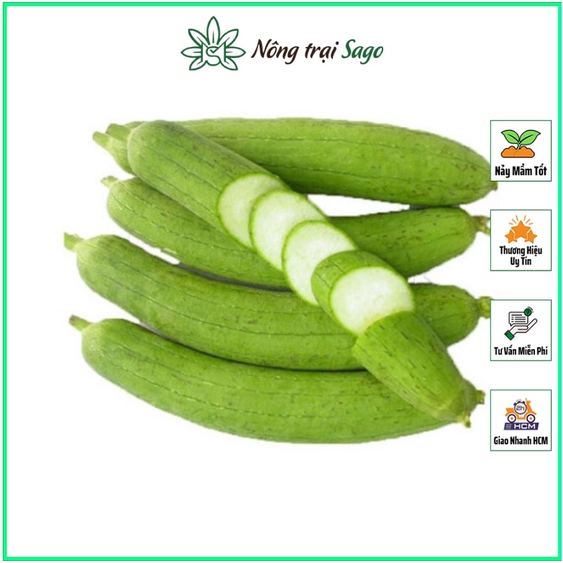 Hạt giống Mướp Hương Cao Sản, Trái Sai, Dài, Trồng Quanh Năm (gói 1 gram) - Nông Trại Sago