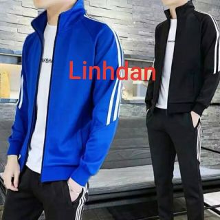 Áo khoác 3 sọc cổ đứng