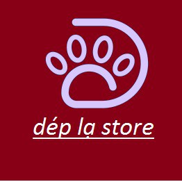 Dép lạ store