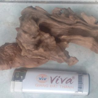 Lũa thủy sinh - Khúc lũa trang trí bể cá, tiểu cảnh