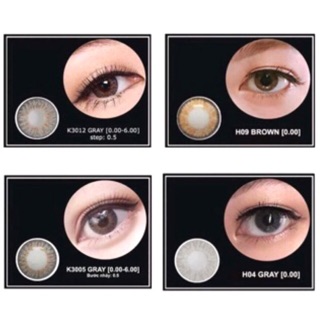 Lens Hàn Quốc - lens 1 ngày
