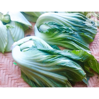 Dưa cải muối chua Lâm Đồng 500gr