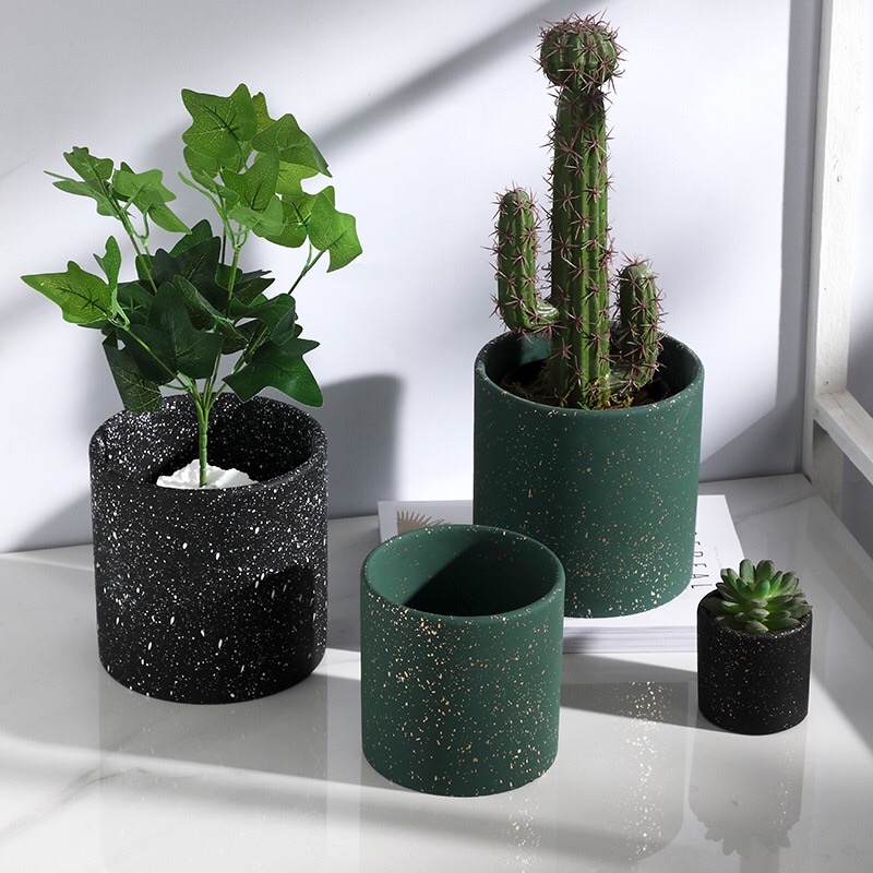 Bình gốm trồng cây trong nhà sang trọng