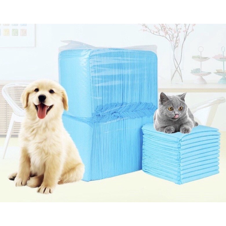 Tấm lót vệ sinh chó mèo thú cưng - chó mèo nhỏ - chó mèo sinh đẻ