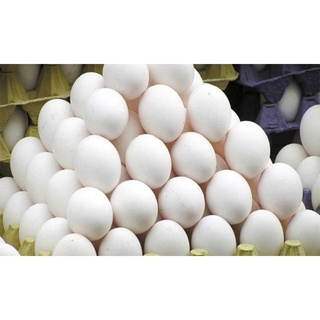 trứng vịt tươi mười quả giao liền tphcm loại trứng to
