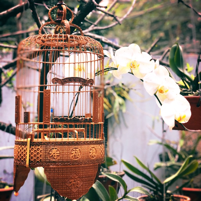 LỒNG CHIM KHUYÊN KYMISA LỒNG CHIM ĐỤC BẰNG TRE ĐẸP