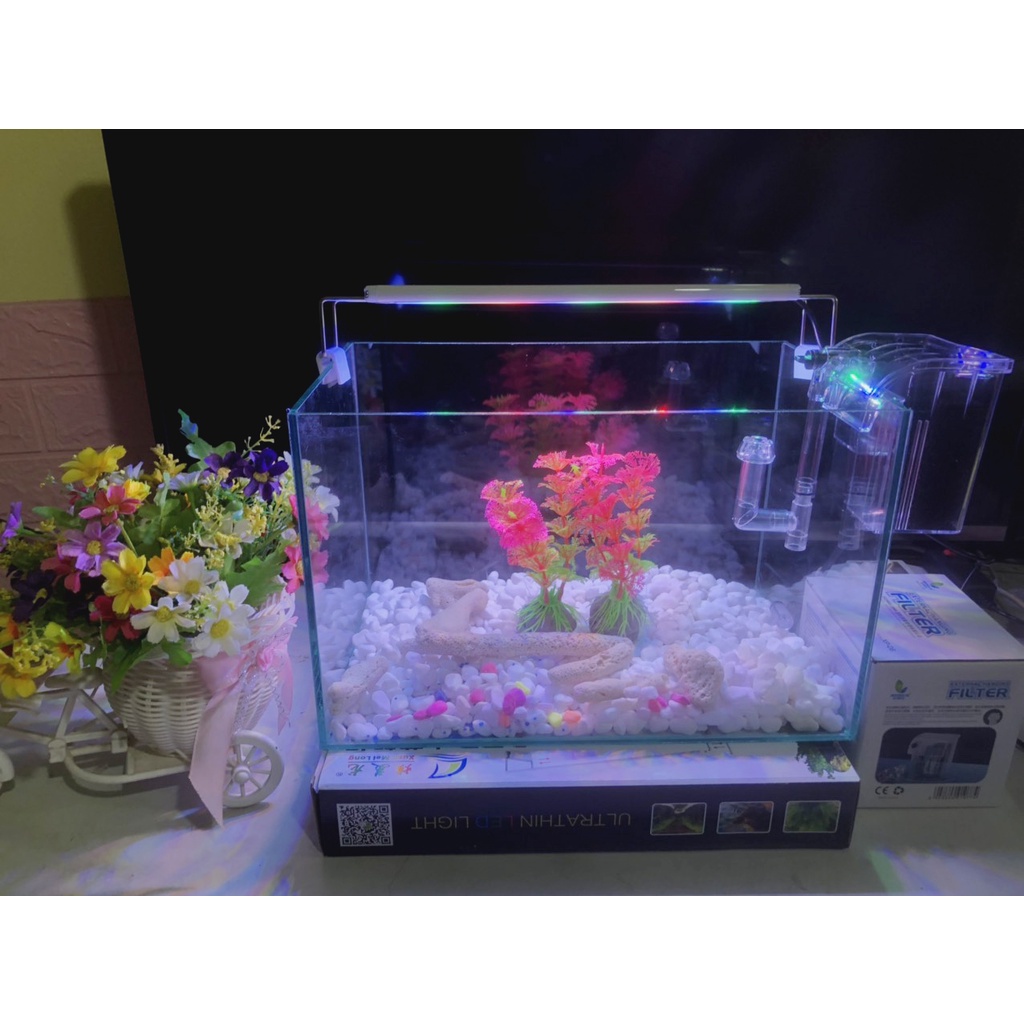 Hồ cá, bể cá cảnh thủy sinh full combo 6 món phụ Kiện D38 R20 H20