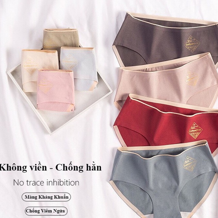 Quần Lót Cotton không Đường May Diệt Khuẩn CT08 | BigBuy360 - bigbuy360.vn