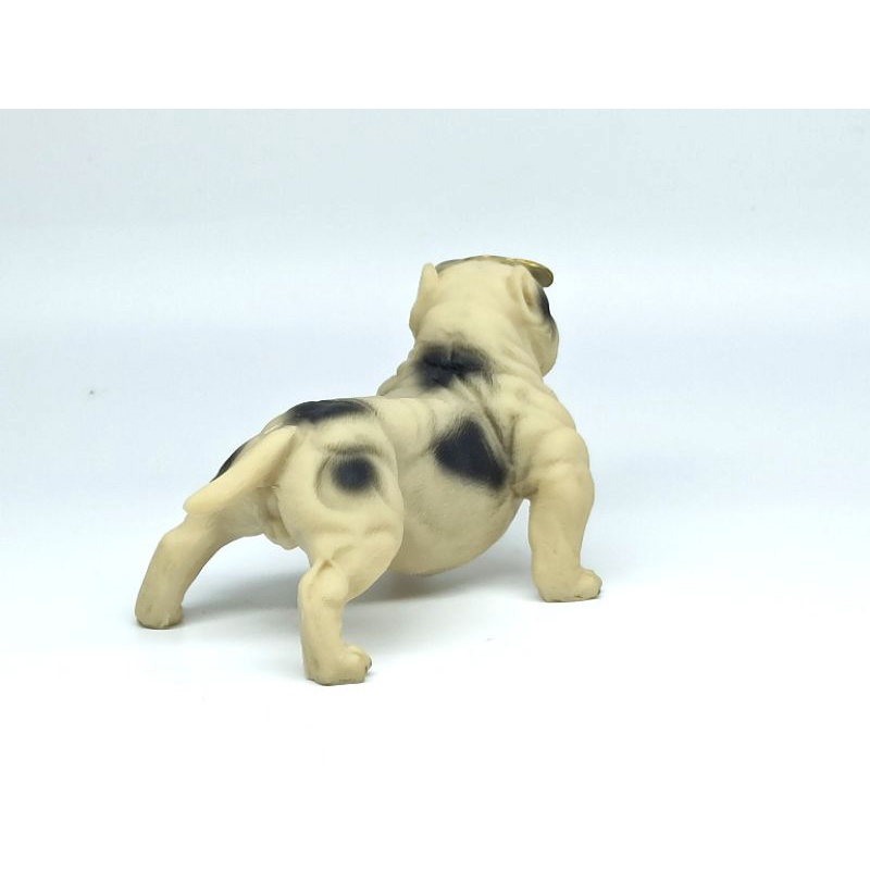 Chó Bull đặt tablo