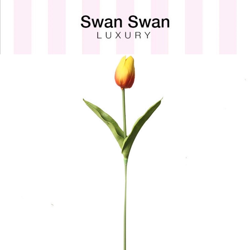 Cành Hoa Tulip Vải