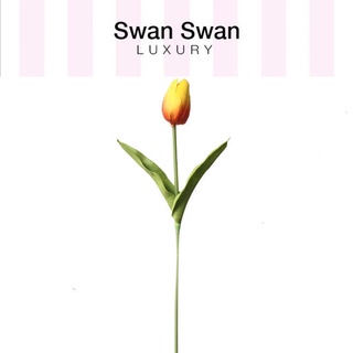 Cành Hoa Tulip Vải